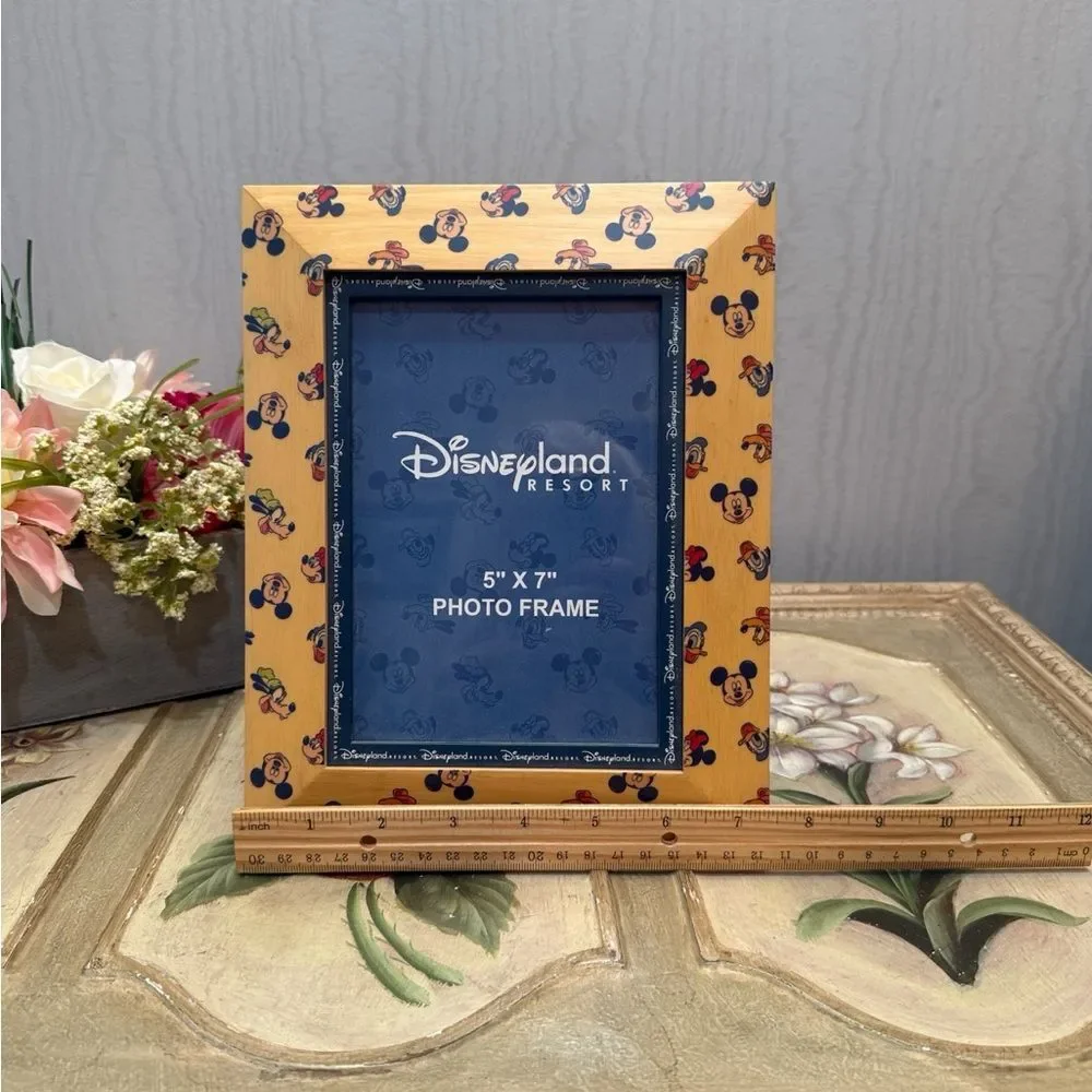 Vintage Disneyland Resort Wooden Photo Picture Frame 5x7